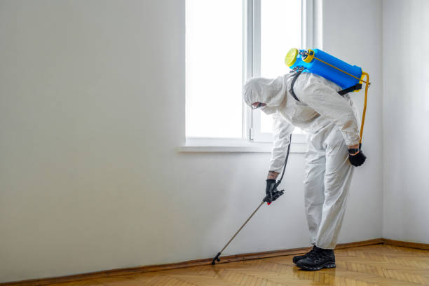 Pest Control for Restaurants and Food Service in Kingsley, MI